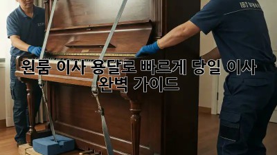 원룸 이사? 용달로 빠르게! 당일 이사 완벽 가이드
